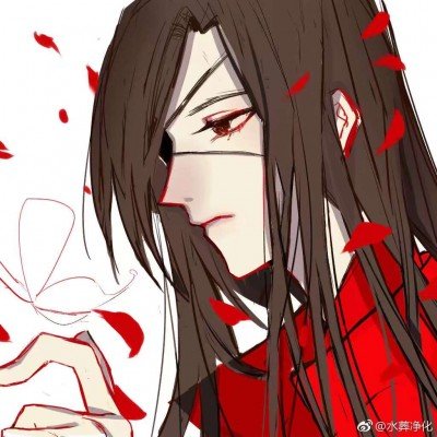 张万森 下柳絮了